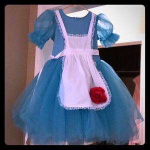 Handmade Alice in Wonderland dress/costume